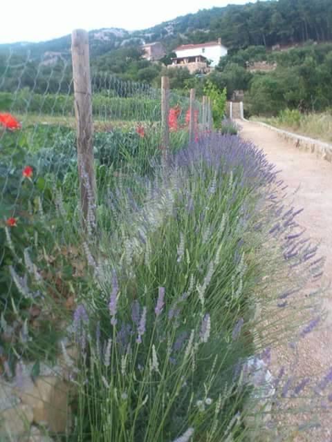 Villa Mora Banjol Quarto foto